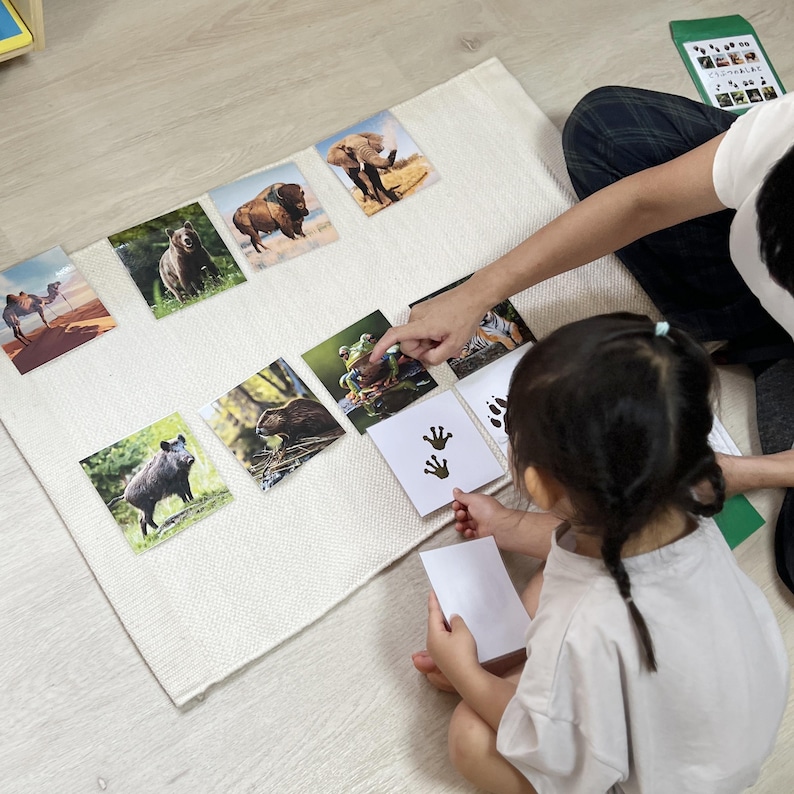 May include: A child and an adult are playing a matching game with cards featuring images of animals and animal footprints. The cards are laid out on a white rug. The child is holding a card with two footprints on it. The adult is pointing at a card with a frog on it.