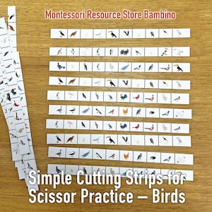 Simple Cutting Strips for Scissor Practice – Birds