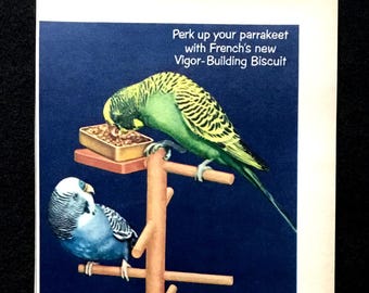 1950s French's Parakeet Seed Magazine Ad, Bird Illustration