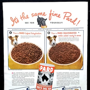 1943 Pard Dog Food Vintage Ad, Advertising Art, Magazine Ad, Swift's Dog Food, Print Ad, Advertisement, Great to Frame.