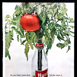 1960&#39;s Hunt&#39;s Tomato Catsup Vintage Ad, Advertising Art, Magazine Ad, Ketchup, Print Ad, Great to Frame.