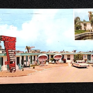 Cartolina d'epoca del 1964 Carroll Court, Fort Myers Beach, Florida, cartolina da collezione, souvenir d'epoca, ottima da incorniciare.