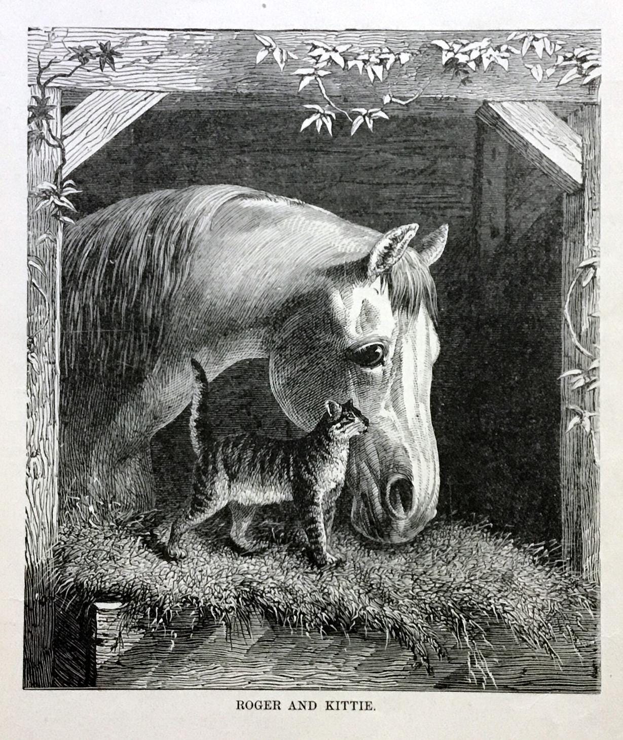 1889年の馬と猫の版画、アンティーク白黒イラスト - Etsy 日本