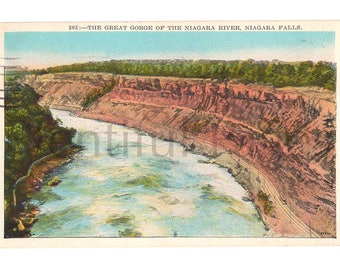 Niagara Falls Vintage Postkarte, Schlucht des Niagara River, 1900er Jahre