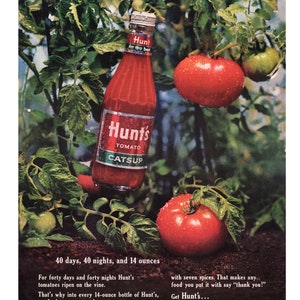 1964 Hunt&#39;s Tomato Catsup Vintage Ad, Advertising Art, Magazine Ad, Ketchup, Advertisement, Great to Frame.