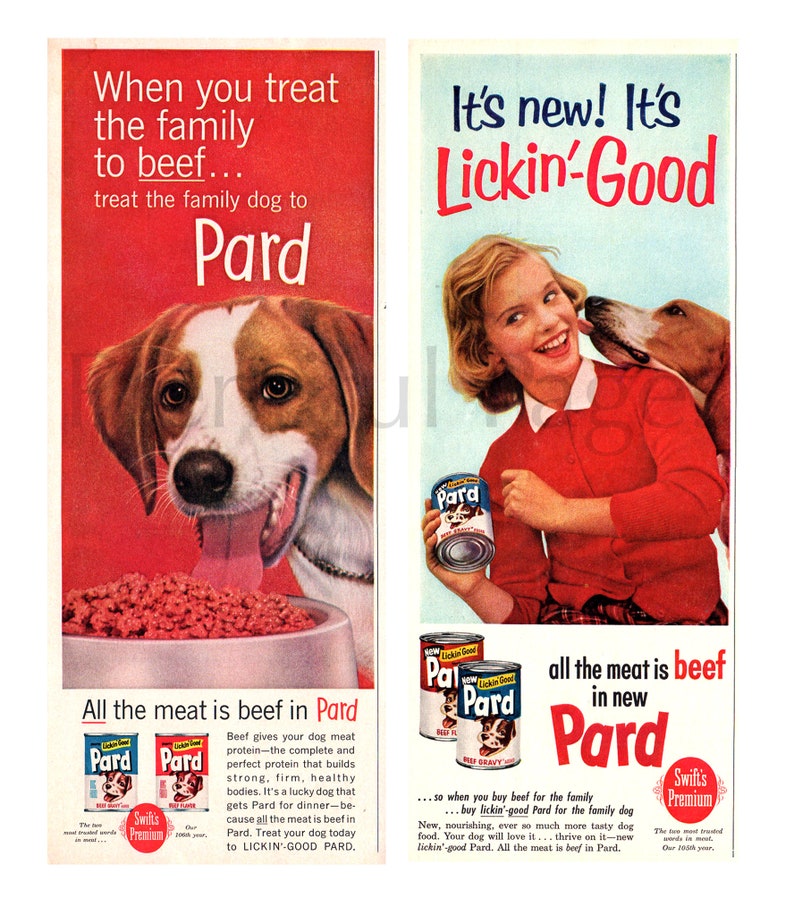 1950's Pard Dog Food Vintage Ads, Set of Two, Advertising Art, Magazine Ads, Beagle, Dog Food, Great to Frame. image 1