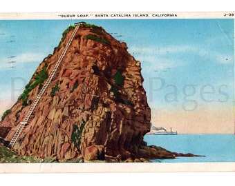 May include: A vintage postcard depicting a rocky cliff with a wooden ladder leading to a small building at the top. The cliff is brown and red, and the water is blue. The text on the postcard reads "Sugar Loaf", Santa Catalina Island, California. J-39
