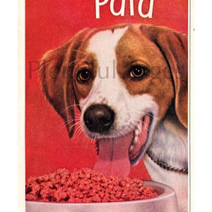 1950's Pard Dog Food Vintage Ads, Set of Two, Advertising Art, Magazine Ads, Beagle, Dog Food, Great to Frame. image 2