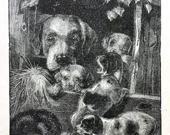 19世紀　版画　少年とハウンドドッグ 1889年ヴィンテージ子犬イラスト、アンティークブックプレートアート