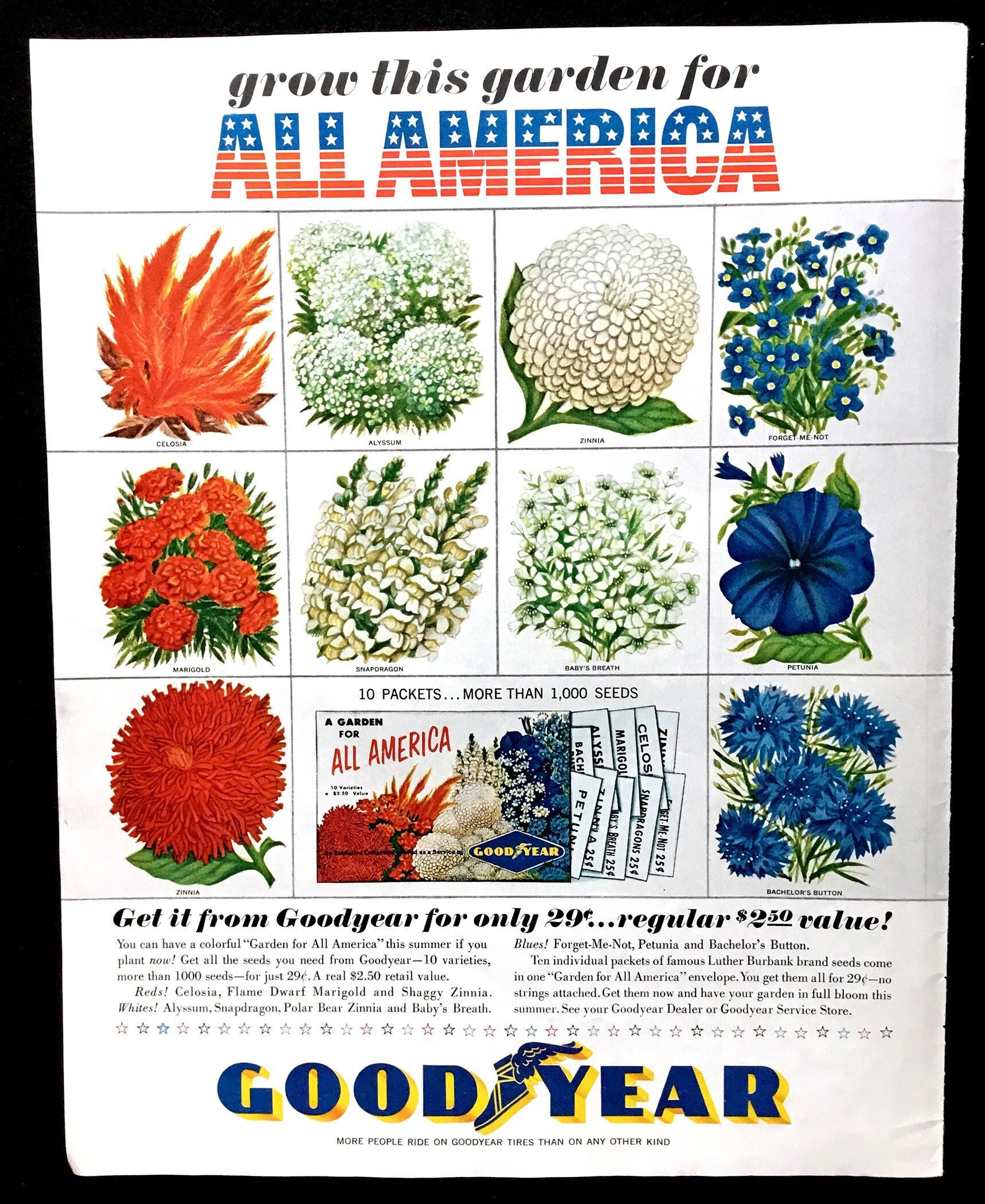 1962 Goodyear Vintage Ad, Advertising Art, Flower Seeds, Magazine Ad, Print Ad, Advertisement, Great to Frame.