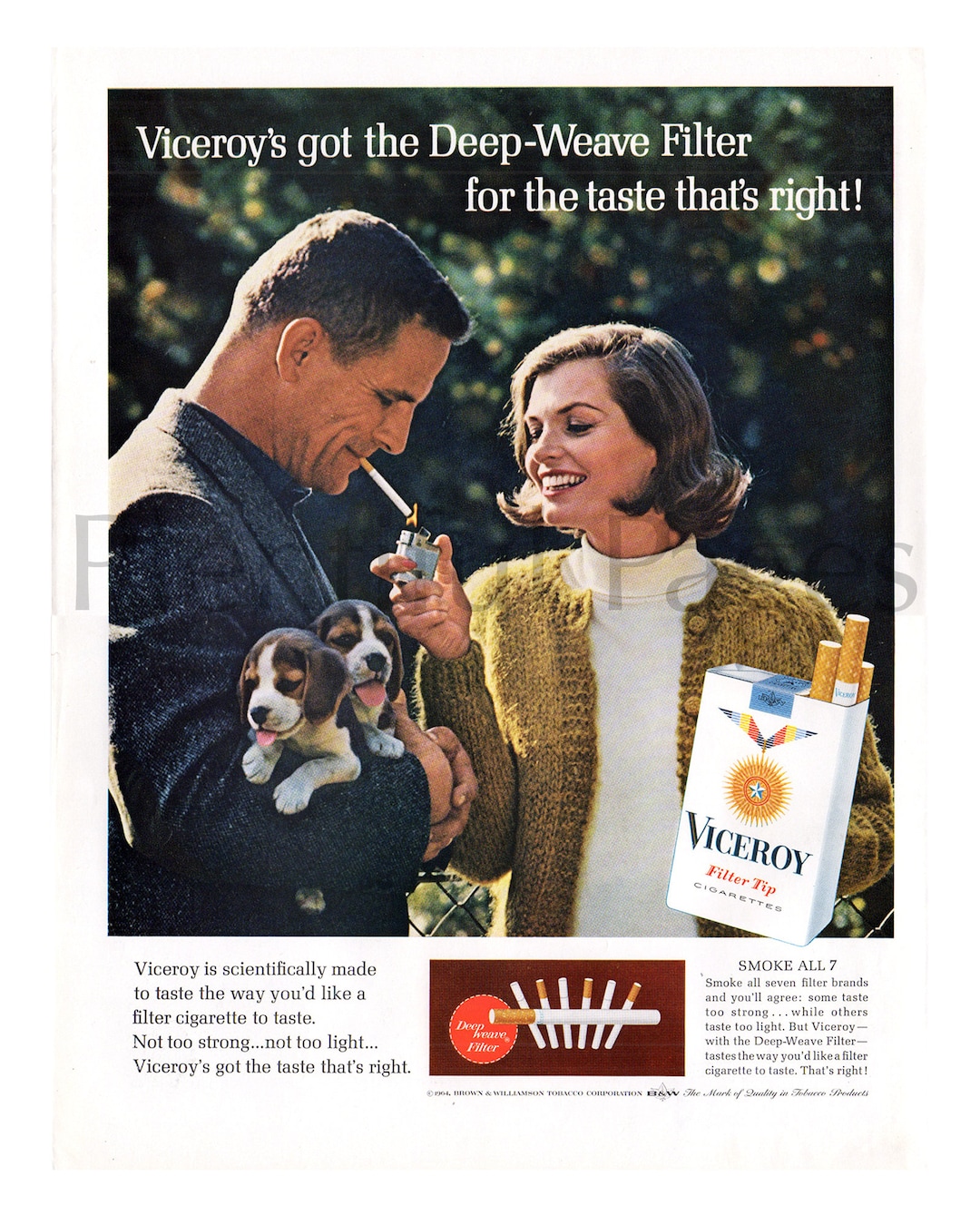 Viceroy Cigarettes Cancion De Anuncio Viceroy 2019 1964 Viceroy Cigarettes Ad, Beagle Puppies, Vintage Magazine