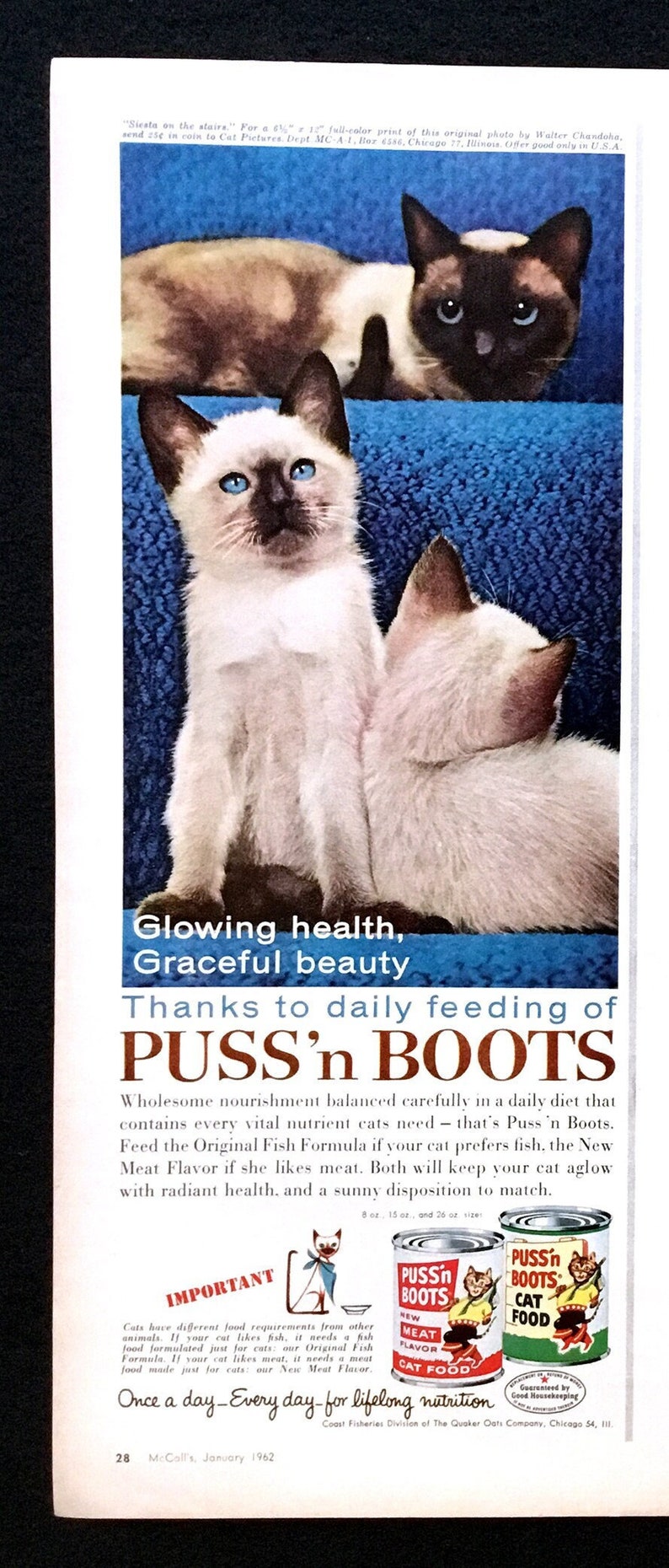 1962 Puss' n Boots Anuncio vintage, arte publicitario, comida para gatos, anuncio de revista, anuncio impreso, anuncio, ideal para enmarcar. imagen 1