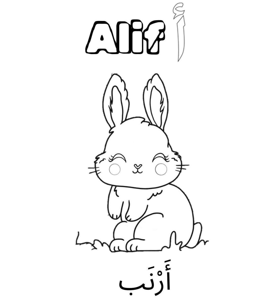 Arabic alphabet colouring book etsy