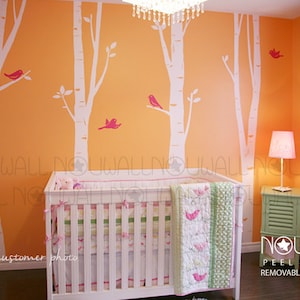 Muurtattoo Berkenbomen met vogels Art Wall Sticker Boomsticker