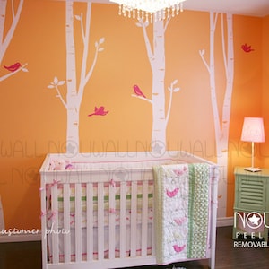 Wall Decal Birch Trees with birds Art Wall Sticker Tree Decal