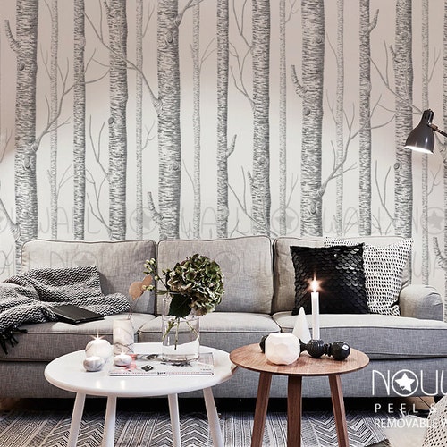 Birch Tree Peel & Stick Wallpaper Wall Decal Wall Sticker Etsy