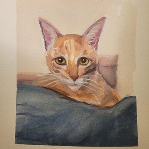 Ritratto personalizzato di un animale domestico con acquerello e guazzo - Dipinto a mano, realizzato su ordinazione, regalo personalizzato per la perdita di un animale domestico, arte commemorativa per animali domestici, cane o gatto unico 5x7