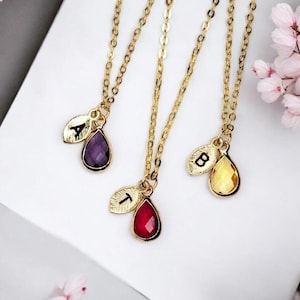 Personalized birthstone necklace, family necklace, birthday gift, letter necklace, Gift for her, Gift for grandma, gift for girlfriend,