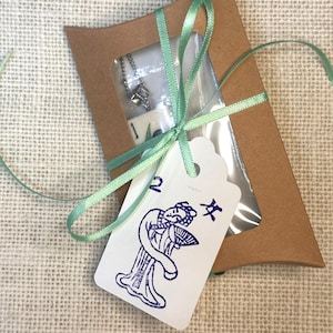 Puede incluir: Una peque&ntilde;a caja de regalo marr&oacute;n con una ventana transparente, atada con una cinta verde claro. En el interior hay un collar plateado. Una etiqueta blanca con una ilustraci&oacute;n azul de una mujer y caracteres chinos est&aacute; adjunta.