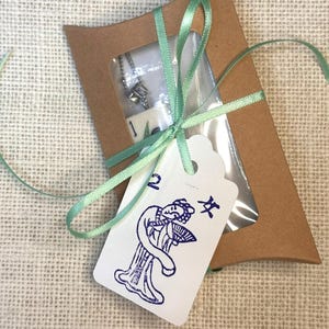 Puede incluir: Una peque&ntilde;a caja de regalo marr&oacute;n con una ventana transparente, atada con una cinta verde claro. En el interior hay un collar plateado. Una etiqueta blanca con una ilustraci&oacute;n azul de una mujer y caracteres chinos est&aacute; adjunta.
