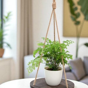 Rustic Hanging Plant Shelf – Round Wood Floating Rope Shelf for Planters, Vintage Display for Living Room, Kitchen, or Bedroom