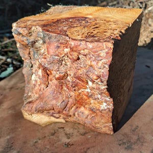 May include: A roughly rectangular block of wood with a textured, multi-toned surface. The wood features shades of brown, red, and tan, with visible grain and knots. The block appears to be freshly cut, showcasing the natural beauty of the wood.
