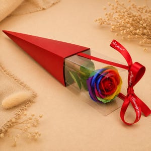 Pode incluir: Uma rosa com as cores do arco-íris e pétalas multicoloridas dentro de uma caixa retangular transparente presa a uma capa de papelão triangular vermelha. Uma fita vermelha com o texto branco "for you" e "Especially for you" está amarrada à caixa.
