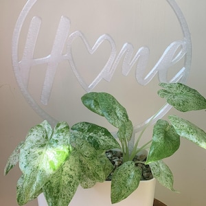 Supporto per piante decorative per la casa