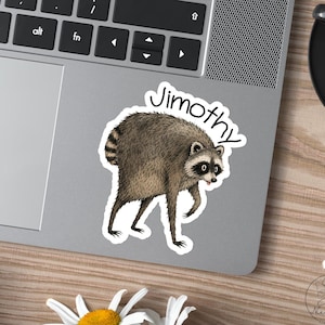 Jimothy the Raccoon Sticker, Seattle Raccoon Meme Sticker,  Water Bottle Laptop Sticker, Cute Animal Gift, Funny Raccoon Sticker, Meme Decal