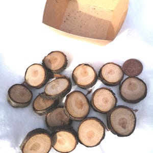 Puede incluir: Una colección de 17 pequeñas rodajas de madera redondas, cada una con un borde de corteza natural y un color marrón claro. Las rodajas de madera están dispersas sobre una superficie blanca.