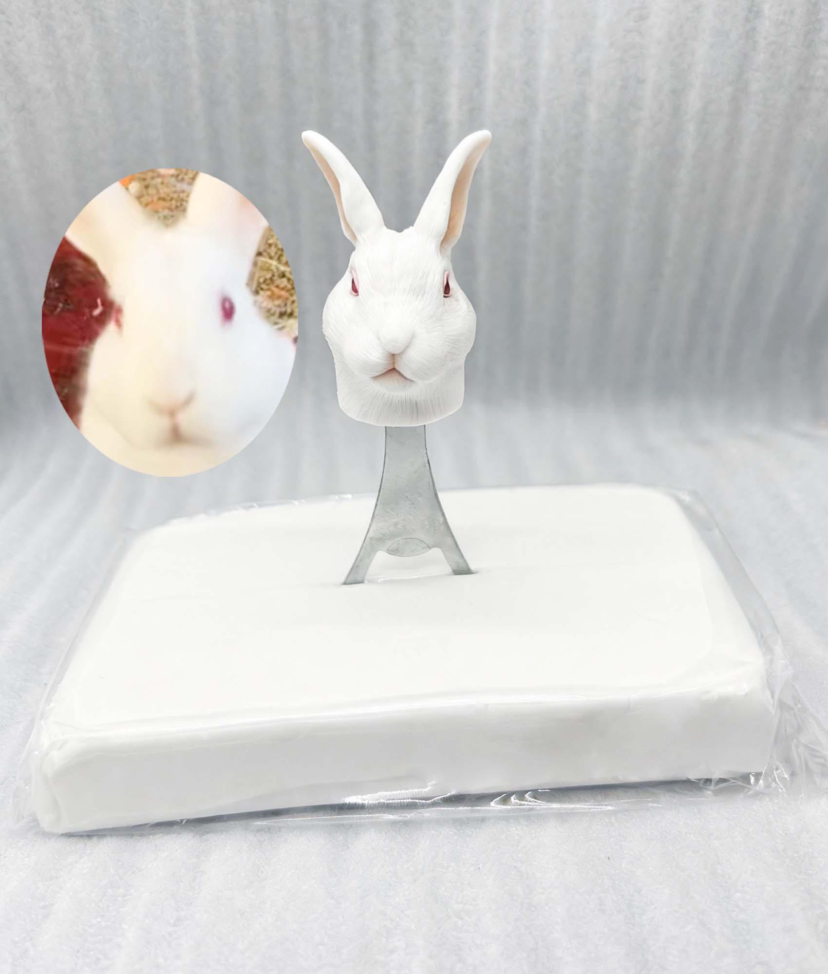 ウサギのオープナー - Etsy 日本