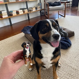 May include: A black, white, and brown dog sitting on a carpet. A smaller, 3D printed figurine of a dog is being held in a person's hand.