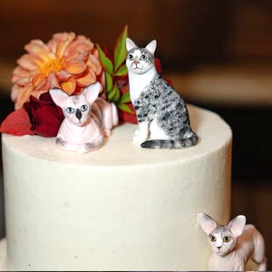 Custom Dog Wedding Cake Topper – Handmade Polymer Clay Pet Figurine, Personalized Dog Wedding Keepsake