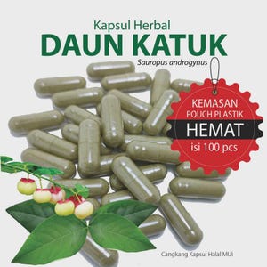 Może przedstawiać: Stos oliwkowo-zielonych kapsułek ziołowych z etykietą Kapsul Herbal DAUN KATUK Sauropus androgynus. Czerwona, ząbkowana etykieta zawiera napis KEMASAN POUCH PLASTIK HEMAT isi 100 pcs. Zielone liście z małymi, bladymi jagodami znajdują się na dole.