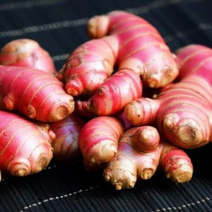 VERS: rode gember (Zingiber officinale var. rubrum)