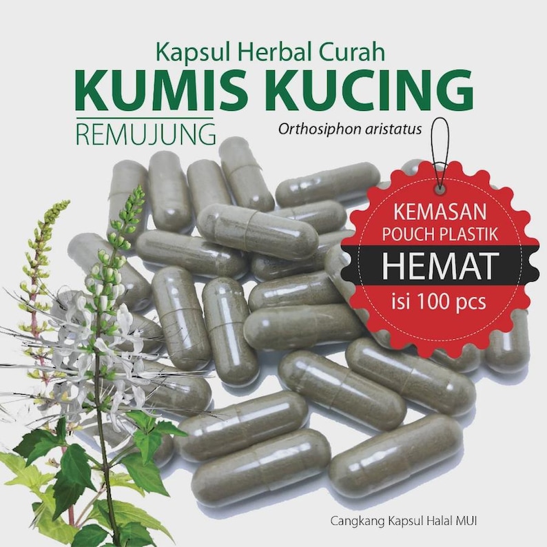 K&ouml;nnte beinhalten: Ein Haufen hellbrauner Kr&auml;uterkapseln neben einer bl&uuml;henden Kumis Kucing Pflanze. Der Text lautet Kapsul Herbal Curah KUMIS KUCING REMUJUNG Orthosiphon aristatus, und ein rotes Etikett besagt KEMASAN POUCH PLASTIK HEMAT isi 100 pcs.