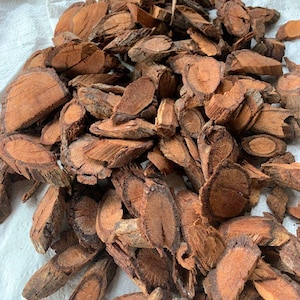 Akar Bajakah (Spatholobus Littoralis)