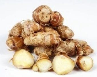 DRIED - Kencur, Aromatic Ginger (Kaempferia galanga)