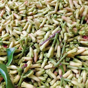 May include: A close-up image of a large pile of green and white clove buds. The buds are arranged in a random pattern and are all about the same size. Clove buds are a popular spice used in cooking and baking.