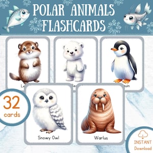 Polar Animals Flashcards| Montessori Cards|Arctic Animals Card|Printable Flashcards|Preschool Flashcards| Learning Activities|Homeschool