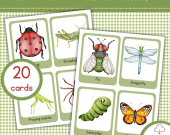 Watercolor Insects Flashcards | Montessori Learning (Digital Download)