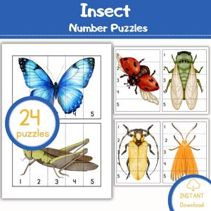 May include: Insect-themed number puzzles featuring a blue butterfly, ladybug, grasshopper, cicada, beetle, and moth. Each puzzle is divided into five numbered sections. The image includes the text "Insect Number Puzzles" and "24 puzzles."