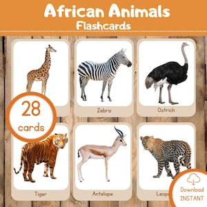 Animales africanos/Tarjetas Montessori/Tarjetas didácticas/Tarjetas de nomenclatura/Material educativo/Imprimibles