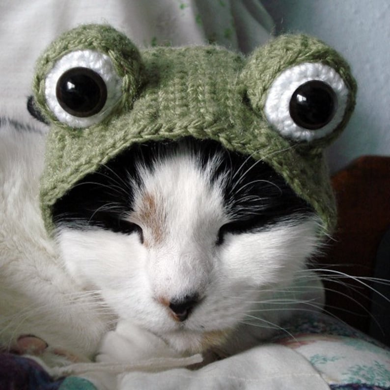 HÄKELANLEITUNG Haustier Hut Kostüm PDF Sofort Download Frosch Katze Halloween Verkleidung Bild 2