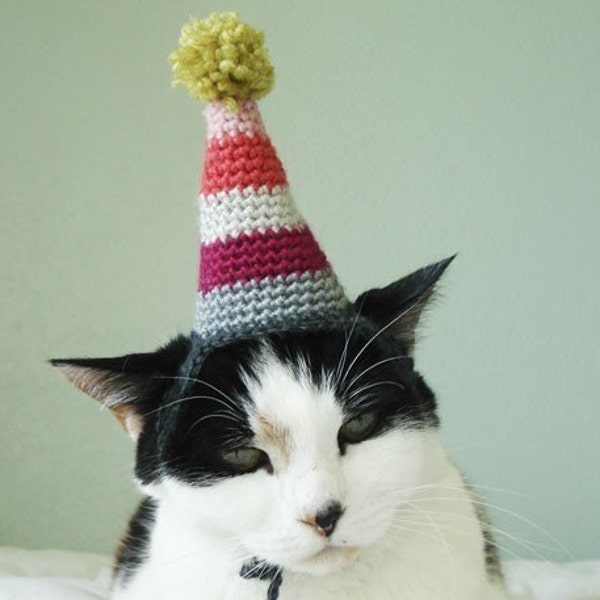 pet hat - party