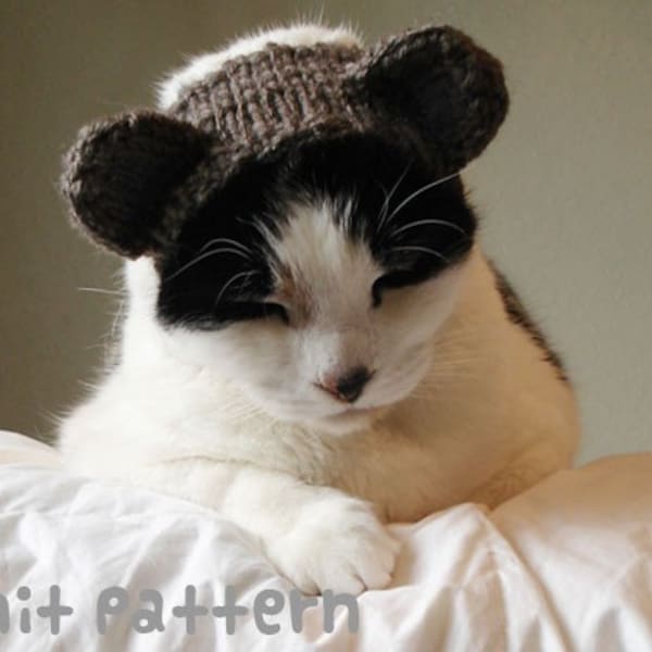 KNITTING PATTERN - Pet Hat Costume - PDF Instant Download - Teddy Bear Cat - Cute Halloween Disguise