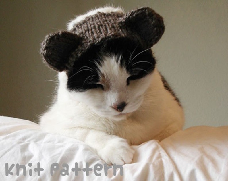 KNITTING PATTERN Pet Hat Costume PDF Instant Download Teddy Bear Cat Cute Halloween Disguise image 1