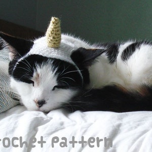 May include: A black and white cat wearing a white crocheted unicorn hat with a gold horn. The cat is sleeping on a white bed with a blue and white patterned pillow.