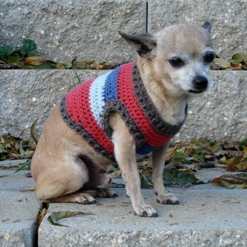 CROCHET PATTERN Dog Sweater PDF Instant Download Cute Etsy