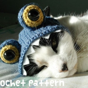 May include: A white and black cat wearing a blue crocheted monster hat with yellow yarn eyes. The hat has white felt teeth.